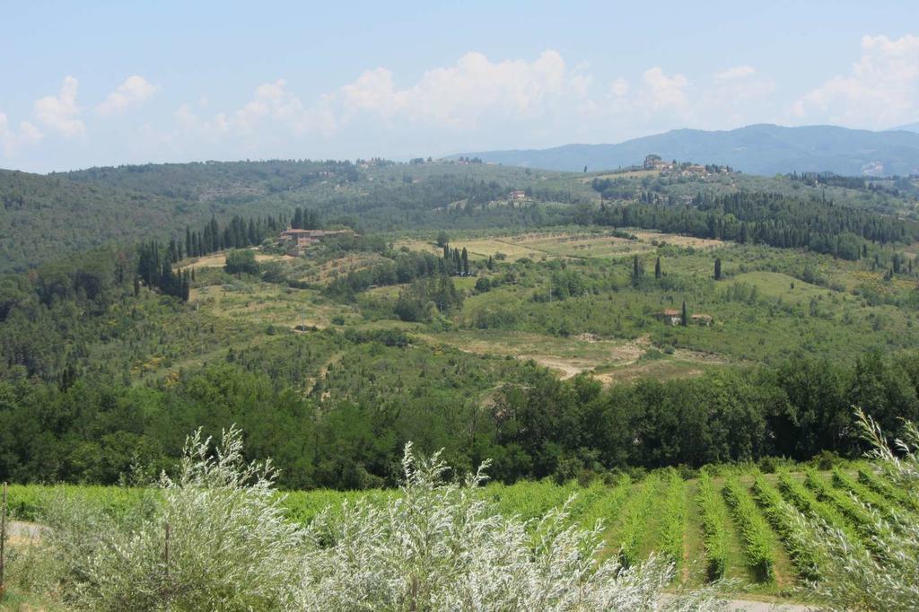 Mercatale Val Di Pesa Winery Houses In Chianti الغرفة الصورة