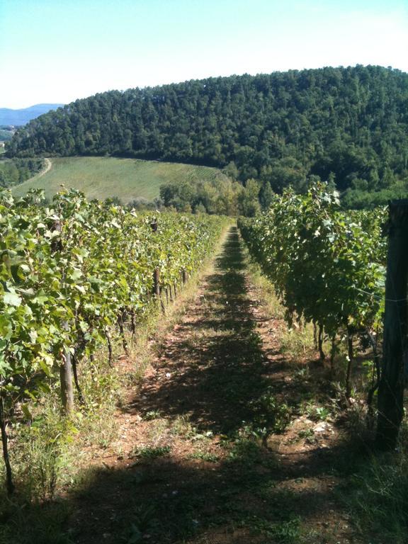 Mercatale Val Di Pesa Winery Houses In Chianti الغرفة الصورة